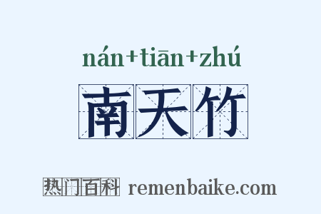 南天竹是什么意思的图片